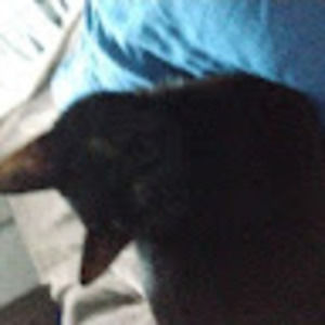 Meet your Posher, Steban